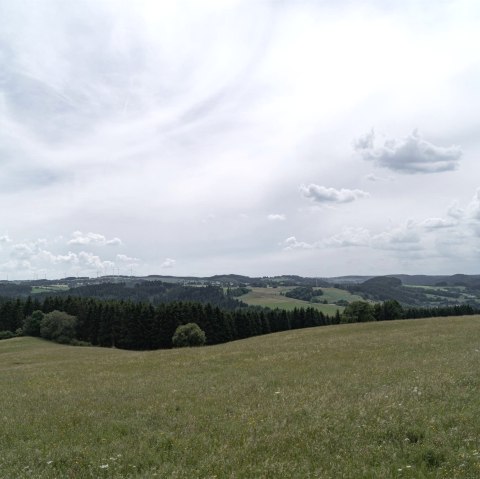 Ausblick vom Bleiberg, © NeT