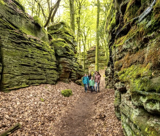 Unterwegs im Schluchtenwald bei Bollendorf, © Eifel Tourismus GmbH, Dominik Ketz