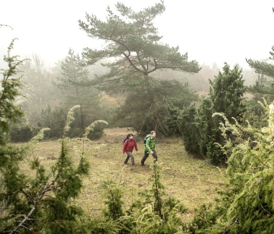 Wanderer in der Schönecker Schweiz, © Eifel Tourismus GmbH, Dominik Ketz