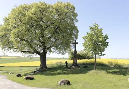 Blick auf den Bördeblick in Vlatten, © Rureifel-Tourismus e.V.