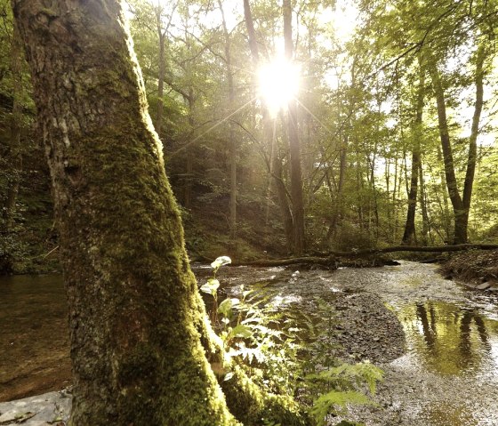 Traumhafte Naturerlebnisse im Enderttal, © Schieferland Kaisersesch