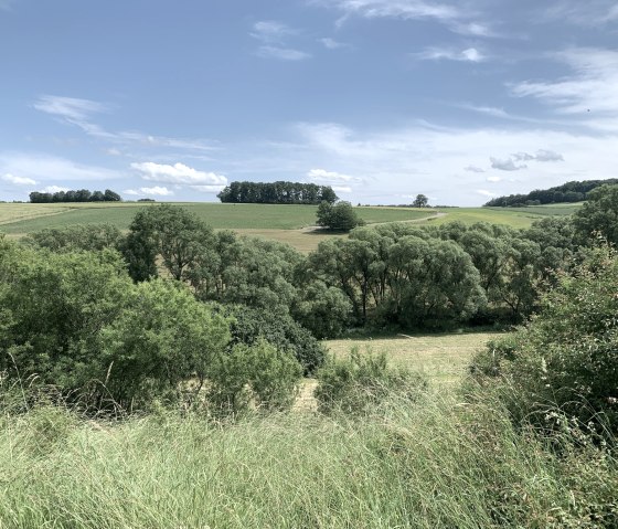 Schöne Aussicht auf dem Wanderweg  "Von Rula und Sulmana" in Röhl, © Benjamin Milbach