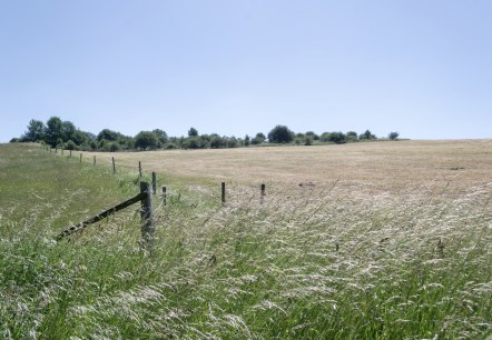 Wiesen, Eifelspur Silberschatz, © Nordeifel Tourismus