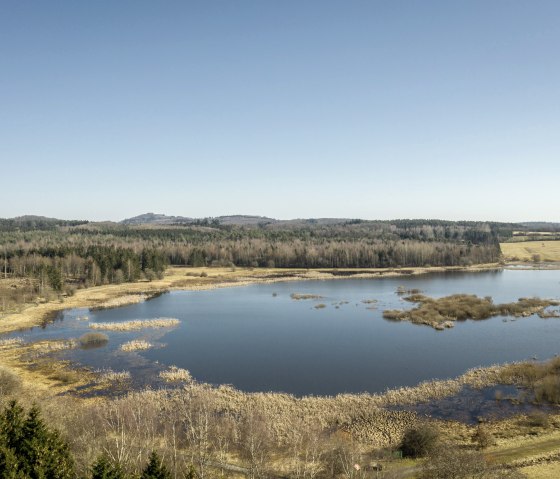 Jungfernweiher Ulmen, © Eifel Tourismus GmbH, Dominik Ketz