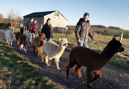 Auf Wanderung mit Alpakas, © Familie Kelleners