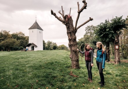 Blick auf Swister Turm, EifelSpur zwischen Ville und Eifel, © Paul Meixner