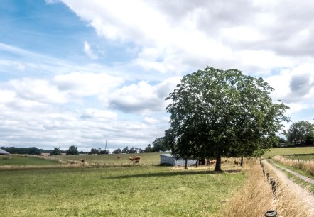 Ausblick auf dem Bitburger LandGang Zum Trindel, © TI Bitburger Land