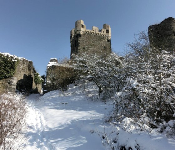 Burg Wernerseck_Winter