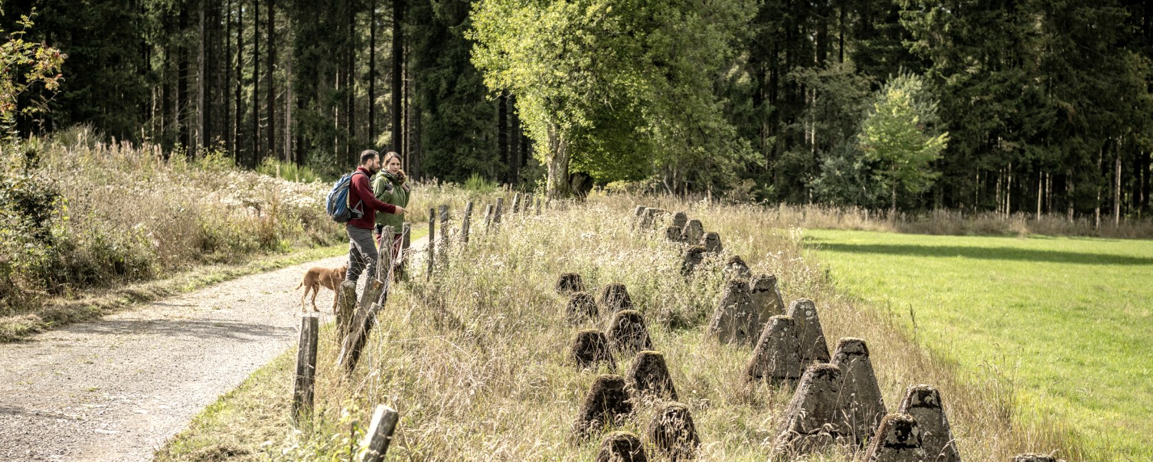 Panzersperren an der Eifelspur Westwall, © Eifel Tourismus GmbH, Dominik Ketz - finanziert durch REACT-EU