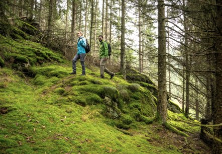 Unterwegs auf dem Wildnis-Trail, © Eifel Tourismus, Dominik Ketz