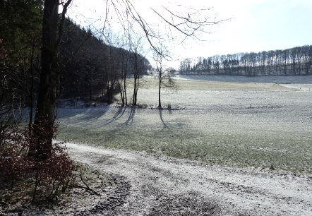 Tal des Holmicht-Bachs, © Tourist-Information Islek