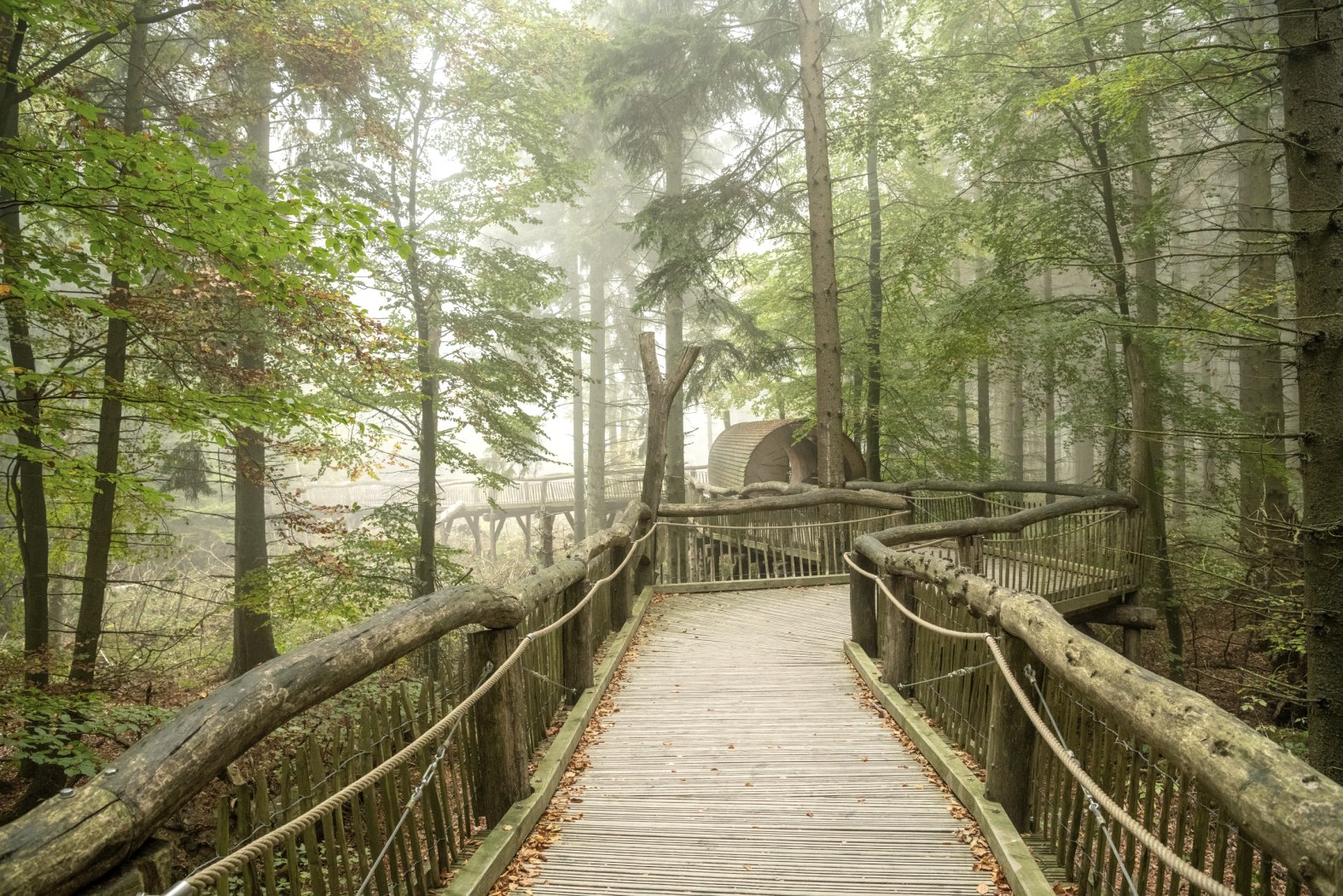 Wilder Weg, © Nationalparkverwaltung Eifel, D. Ketz