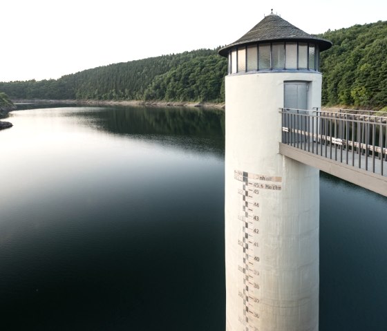 Blick von der Urfttalsperre auf den Urftsee, © Eifel Tourismus GmbH/D. Ketz