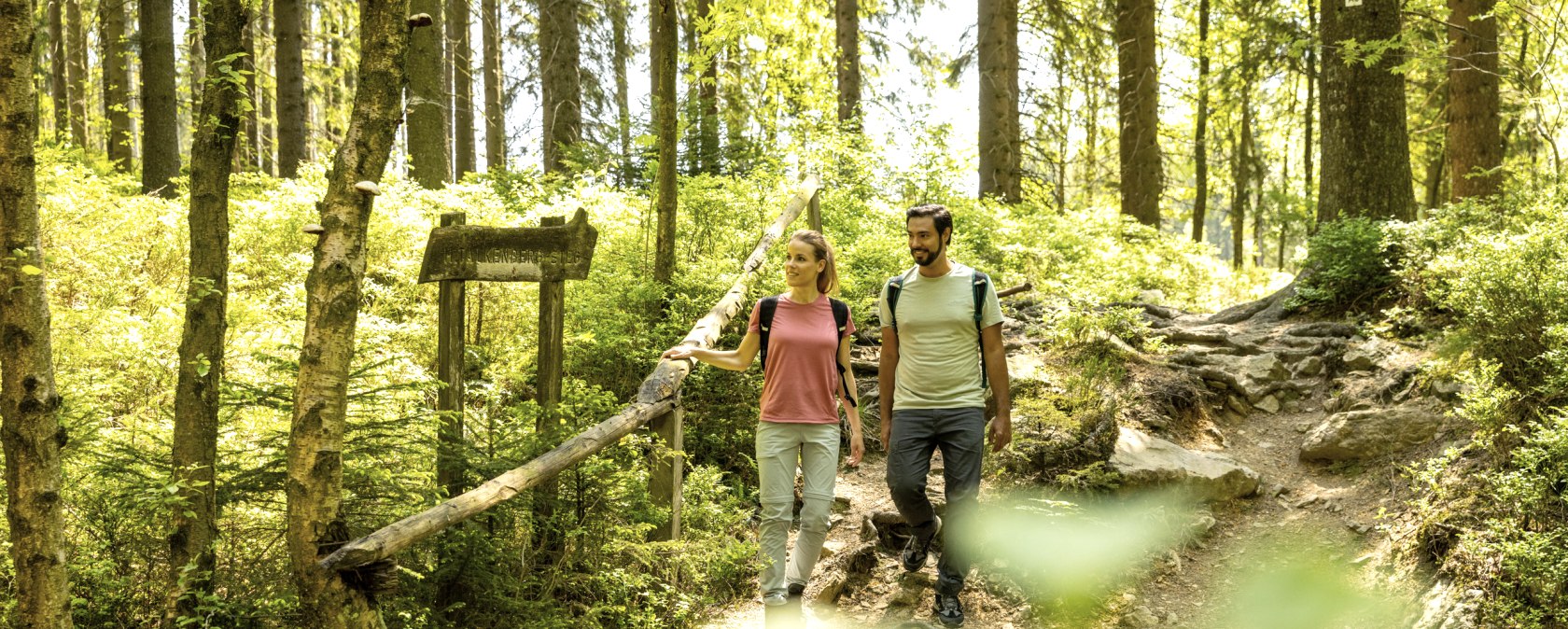 Wandern im schattigen Wald, © Eifel Tourismus GmbH, Dominik Ketz