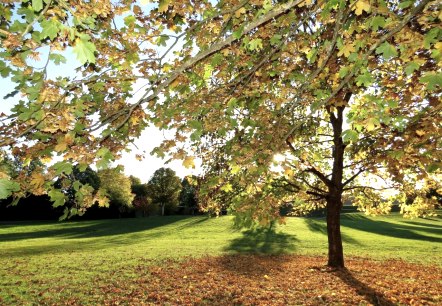 Stadtpark, © Werner Pelm