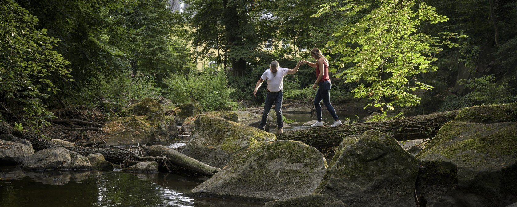 Baumstamm in der Nette, © Kappest/VG Pellenz