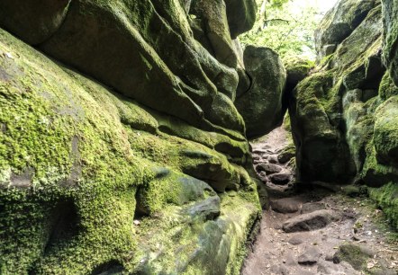 Felsen bei der Teufelsschlucht, Felsenweg 6, © Rheinland-Pfalz Tourismus GmbH/D. Ketz