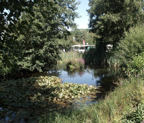 Teich am Campingplatz, © Campingplatz Felsenblick