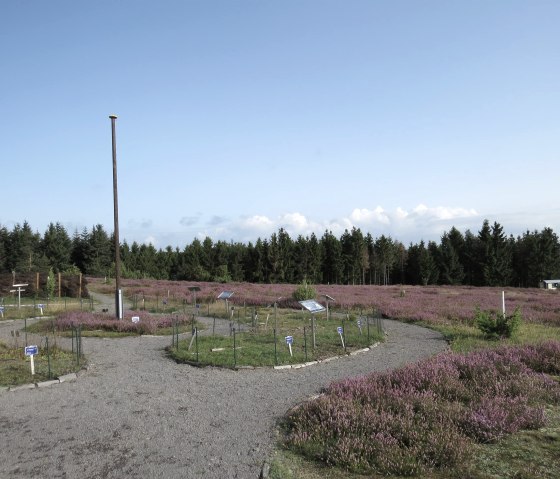 Der Heidegarten auf dem Wabelsberg, © Foto: Svenja Schulze-Entrup, Quelle: Touristik-Büro Vordereifel