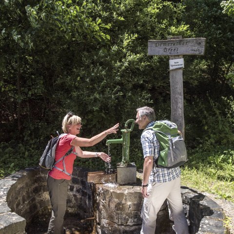 Demerather Drees, © Natur- und Geopark Vulkaneifel GmbH