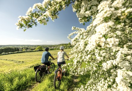 Nims Radweg, Messerich, © Eifel Tourismus GmbH, Dominik Ketz