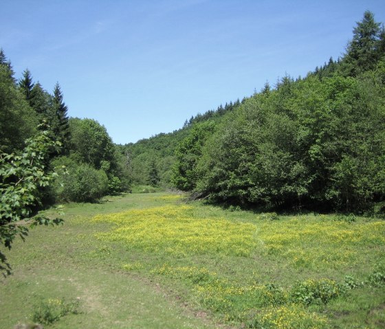 Eifelsteig: Das Salmtal auf der Etappe 13, © Eifel Tourismus