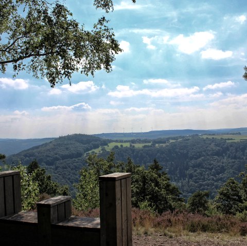 Eifel-Blick Kuhkopf, © Rureifel-Tourismus e.V.