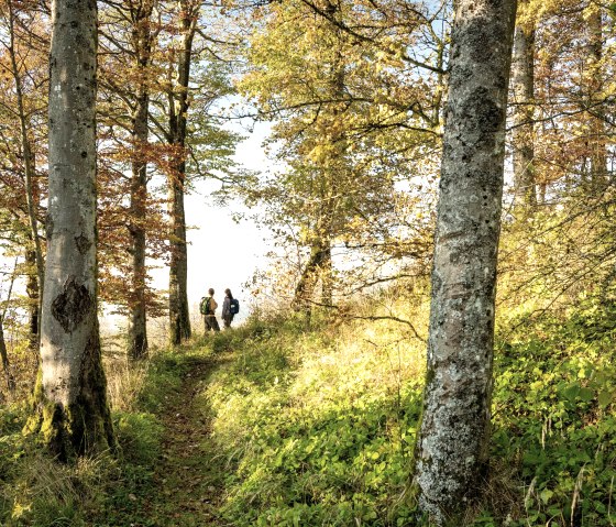 Wandertour am Hochkelberg, © Eifel Tourismus GmbH, D. Ketz