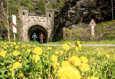 Enz-Radweg, alter Bahntunnel bei  Neuerburg, © Eifel Tourismus GmbH, Dominik Ketz