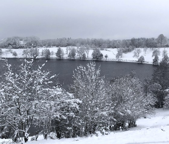 Schöner Wintermaarblick