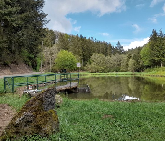 Angelweiher Trittscheid