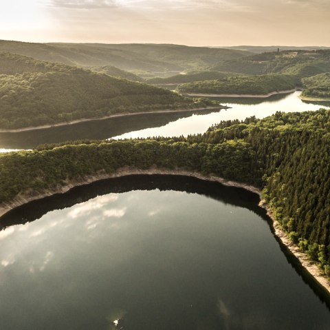 Nationalpark Eifel: Panorama Rursee mit Urfttalsperre, © Eifel Tourismus GmbH/D.Ketz