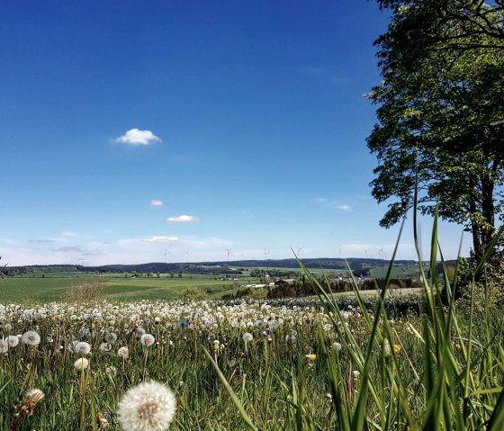 Panorama-Landschaft bei Olzheim, © Tourist-Information Prümer Land/ Sebastian Wiesen
