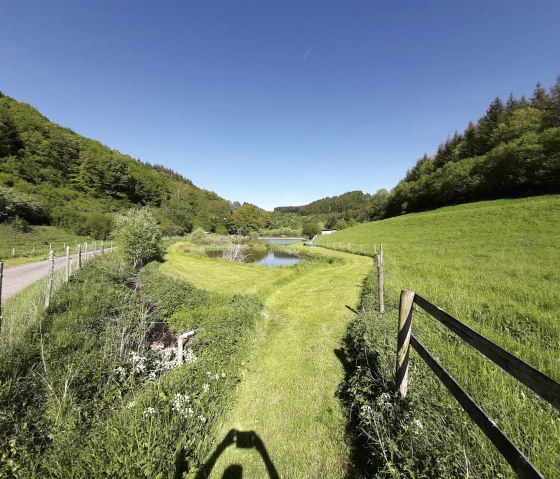 Fischweiher bei Deudesfeld, © GesundLand Vulkaneifel