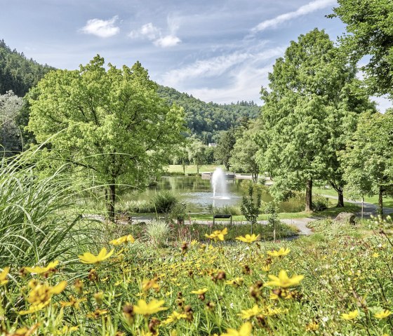 Kurpark im Herbst, © Rheinland-Pfalz Tourismus GmbH/F. Trykowski