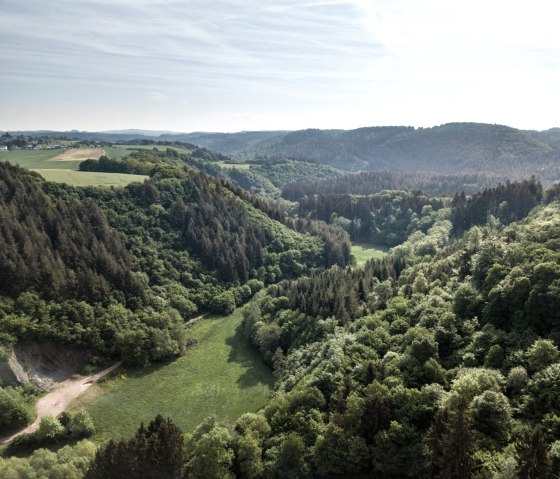 Panorama ins Salmtal, © Eifel Tourismus GmbH, Dominik Ketz