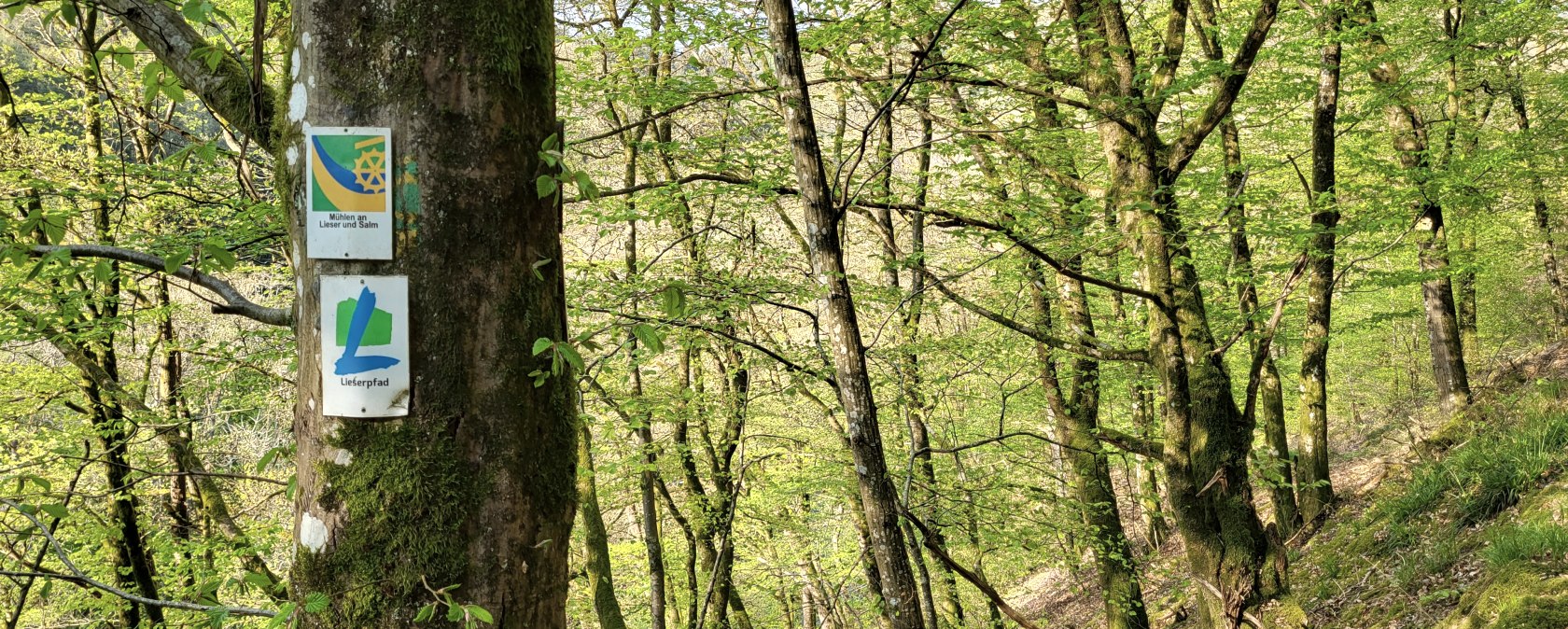 Unterwegs auf dem Lieserpfad Etappe 3, © N. Baller