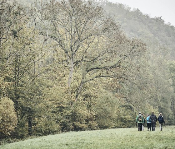 Wandern im Elzbachtal, © Schieferland Kaisersesch, Marco Rothbrust