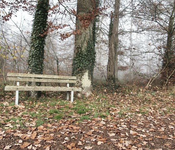 Bank zur Rast am Ortswald "Erdelchen", © TI Bitburger Land - Steffi Wagner