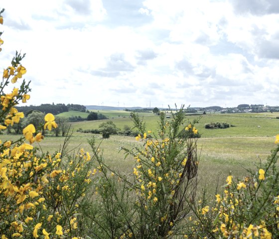 Eifelspur Raubritter, Aussicht, © Nordeifel Tourismus