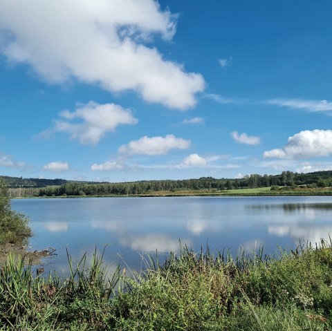 Jungferweiher