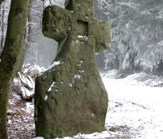 Fraubillenkreuz im Winterwald, © Elke Wagner