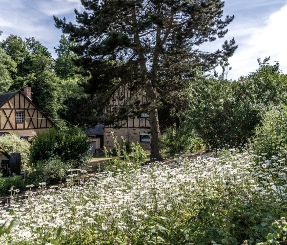 Kaifenheimer Mühle am Brohlbach, © Kaifenheimer Mühle