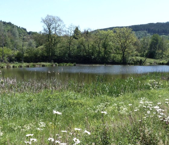 Stausee Irsental, © Tourist-Info Islek, Ingrid Wirtzfeld