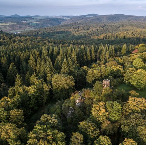 Gerolsteiner "Verzeelsches Tour", © Eifel Tourismus GmbH, Dominik Ketz