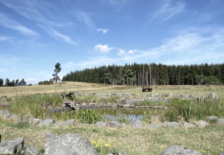 Der "Heidetümpel" auf dem Kindgen, © Foto: Svenja Schulze-Entrup, Quelle: Touristik-Büro Vordereifel