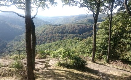 ausblick-vom-wald-auf-tal, © Stadt Mayen