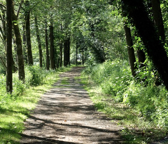 Dreeswanderweg, © GesundLand Vulkaneifel GmbH