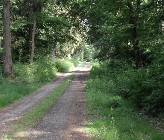 Natur genießen