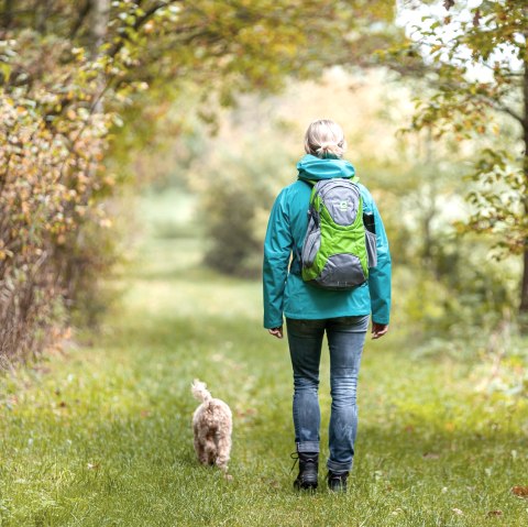 Eifel.Shop Herbst Rucksack, © Eifel Tourismus GmbH